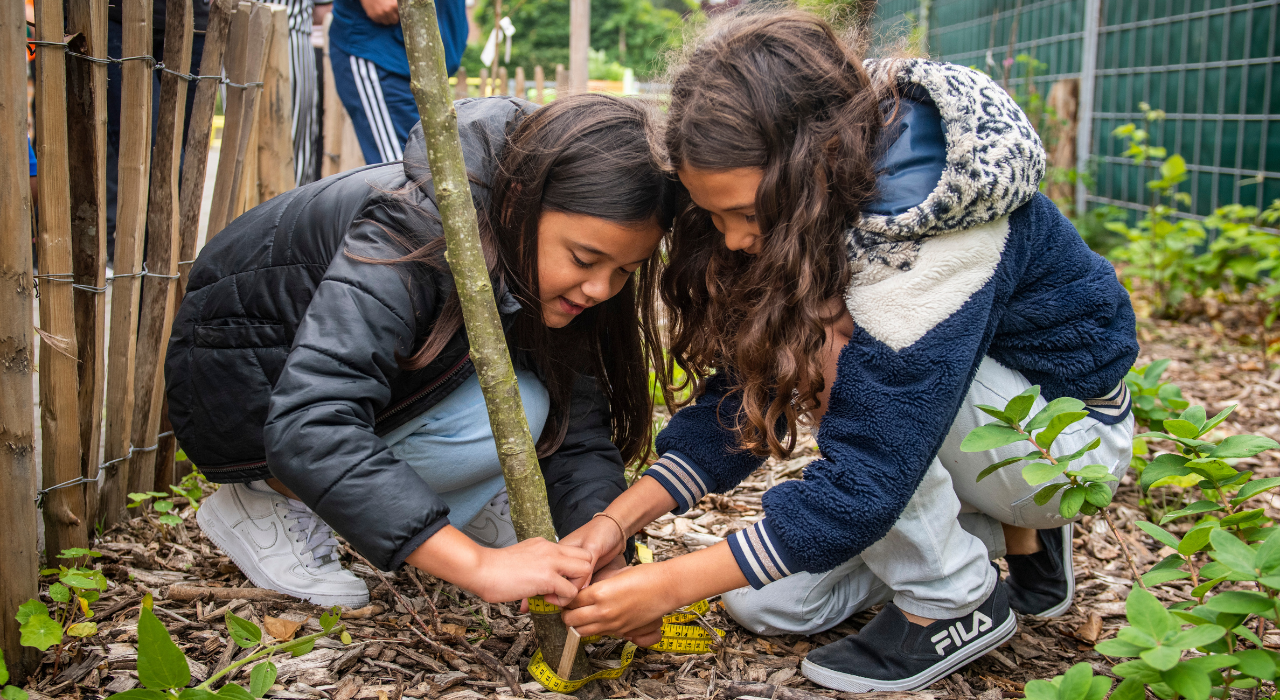 6 Voedselbosjes in 2 weken op Rotterdamse schoolpleinen