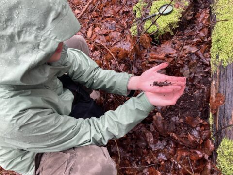 Persoon in groene jas onderzoekt bodem in een bos, met mos en bladeren op de achtergrond.