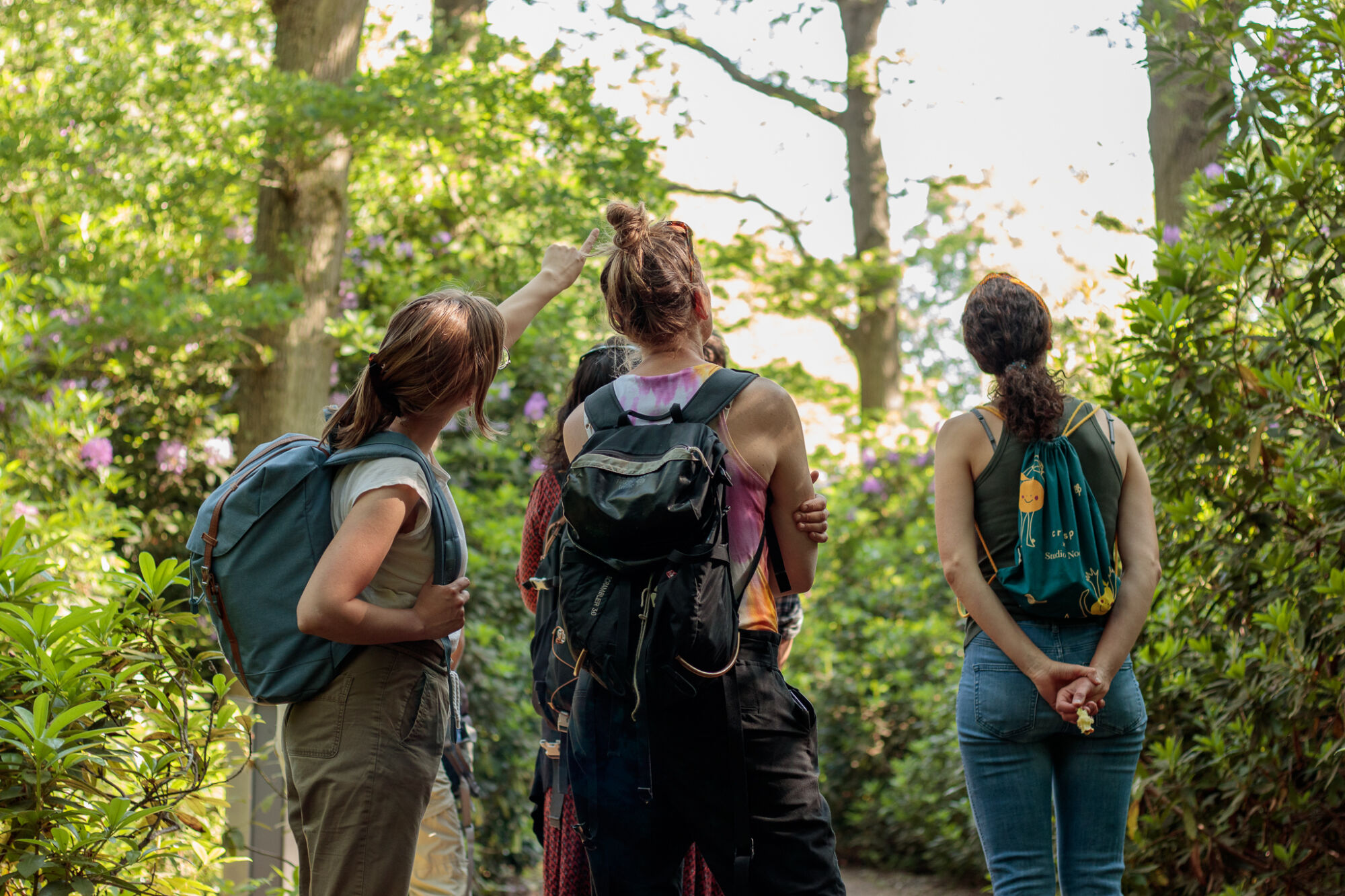 Vier mensen met rugzakken wandelen in een groene, bosrijke omgeving. Eén persoon wijst iets aan.