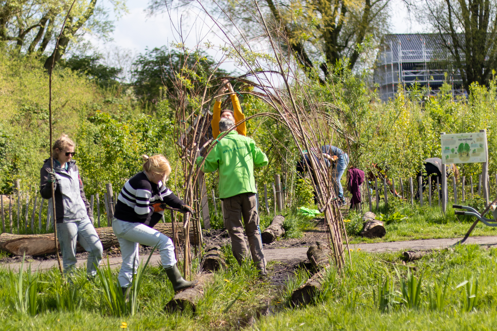 Mensen bouwen een wilgentunnel in een park met groene planten en een gebouw op de achtergrond.