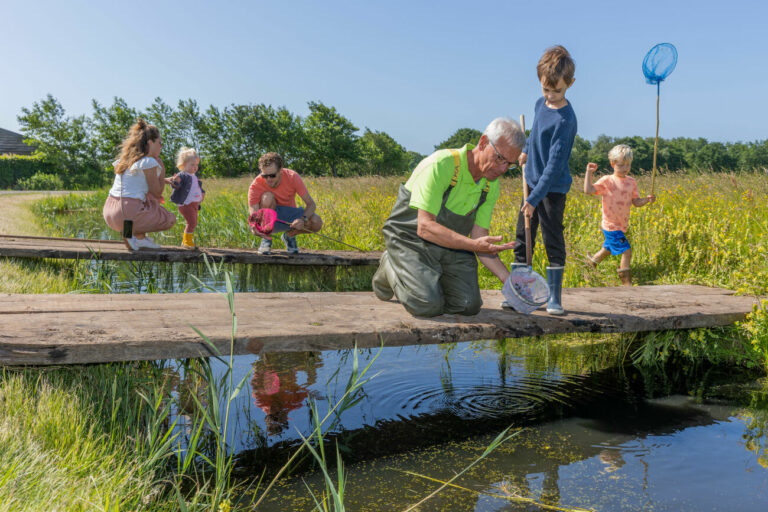 Mensen vangen insecten met netten op een brug over een vijver in een zonnige, groene omgeving.