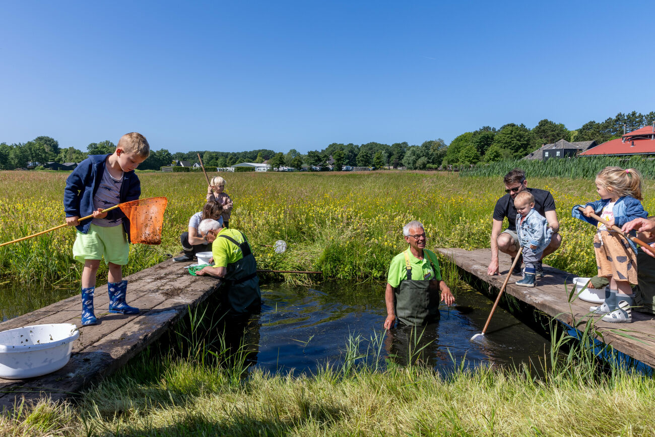 Kinderen vangen waterdieren met schepnetten bij een sloot, onder begeleiding van volwassenen.