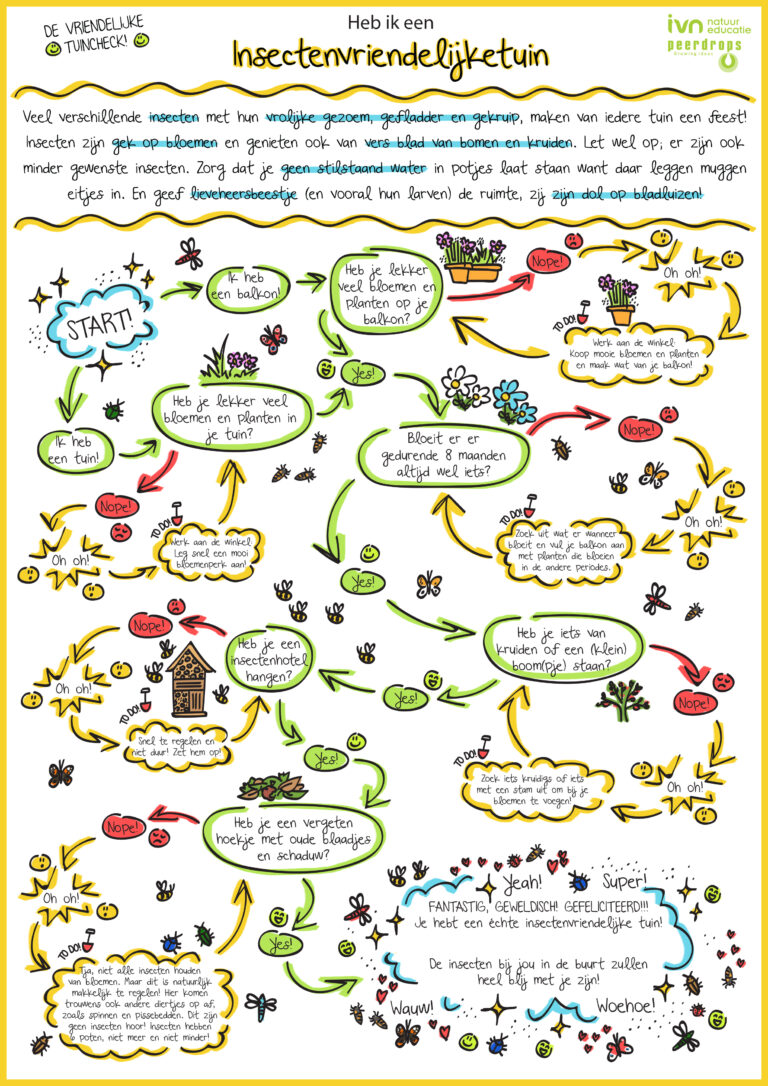 Flowchart over een insectenvriendelijke tuin, met tips voor bloemen, planten en insectenhotels.
