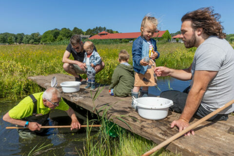 Mensen vangen waterdieren vanaf een steiger in een zonnige, landelijke omgeving.