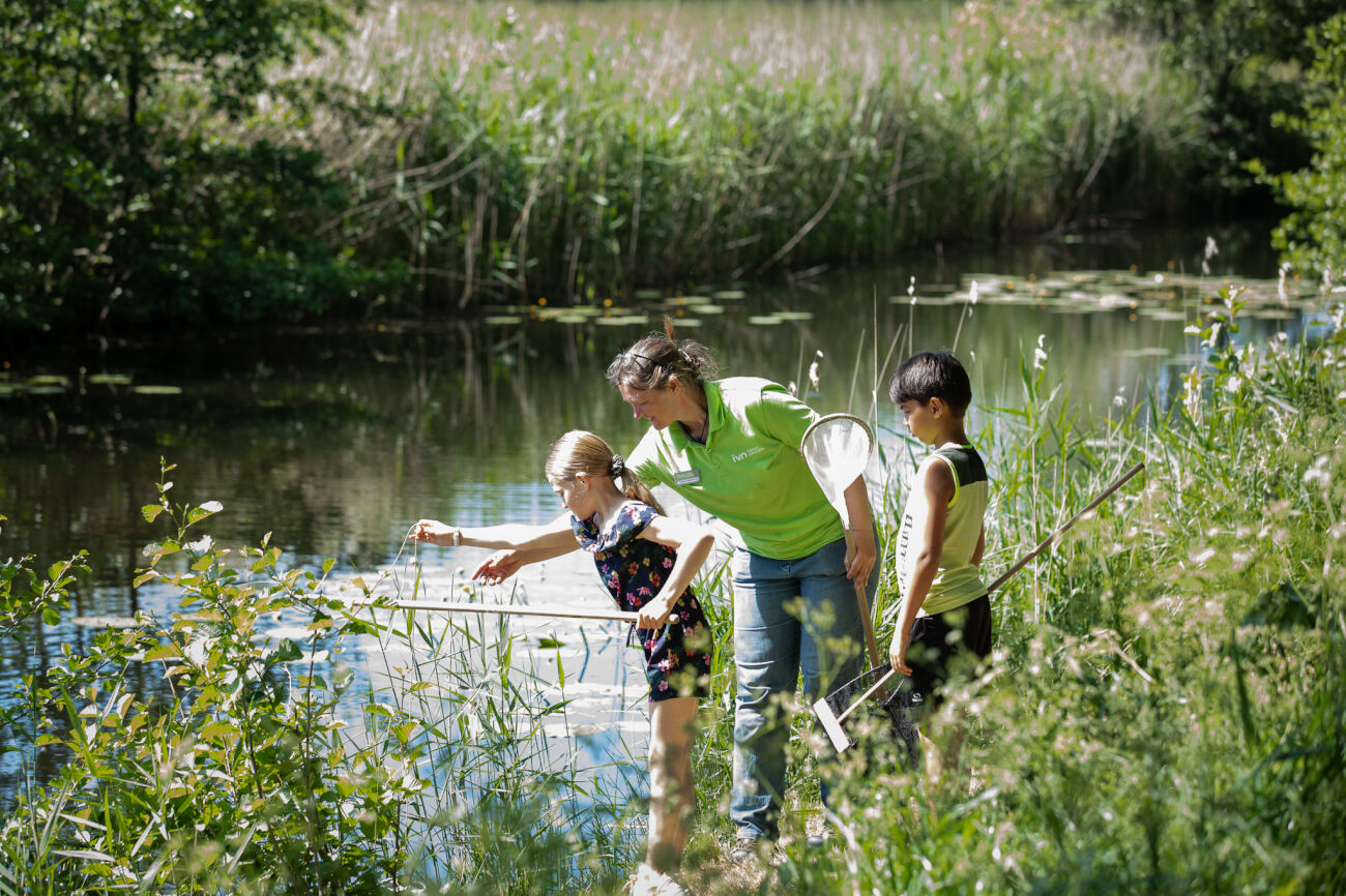 Een volwassene en twee kinderen vangen waterdieren bij een vijver in een groene omgeving.