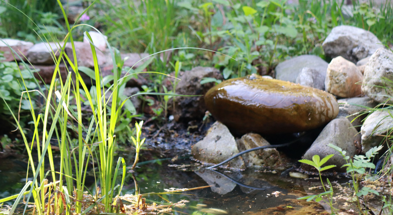 Vijver met stenen, grassen en groen. Water stroomt over een grote, gladde steen.