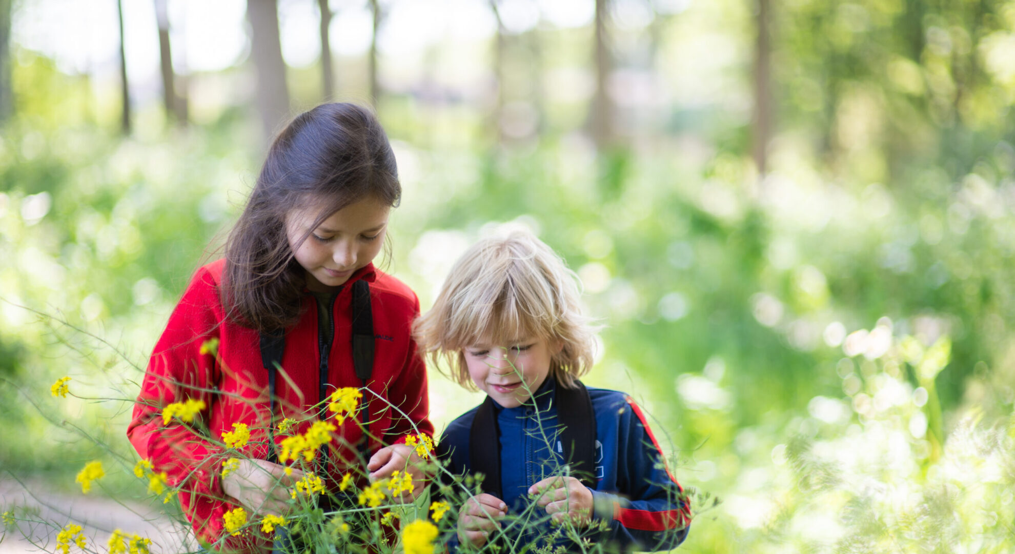 Twee kinderen onderzoeken bloemen in een groene, zonnige bosomgeving.
