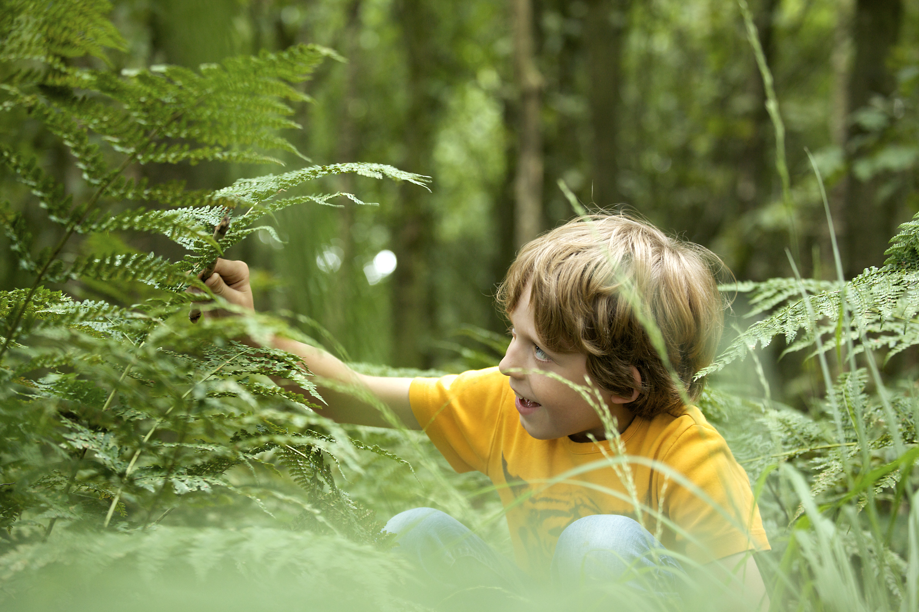 Een kind verkent een bos, omringd door varens en groen gebladerte.