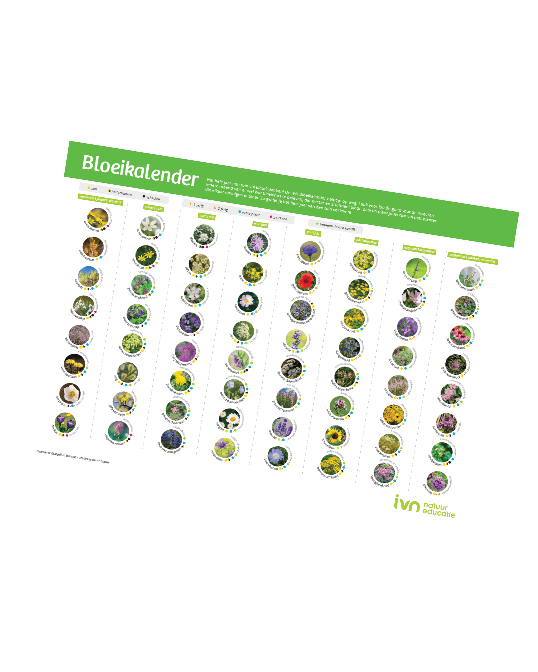 Bloei Kalender: tabel met foto's van bloemen, geordend op bloeiperiode en bijvriendelijkheid.