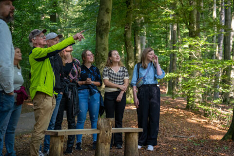 Groep mensen in het bos, wijzen en kijken omhoog, omringd door bomen en herfstbladeren.
