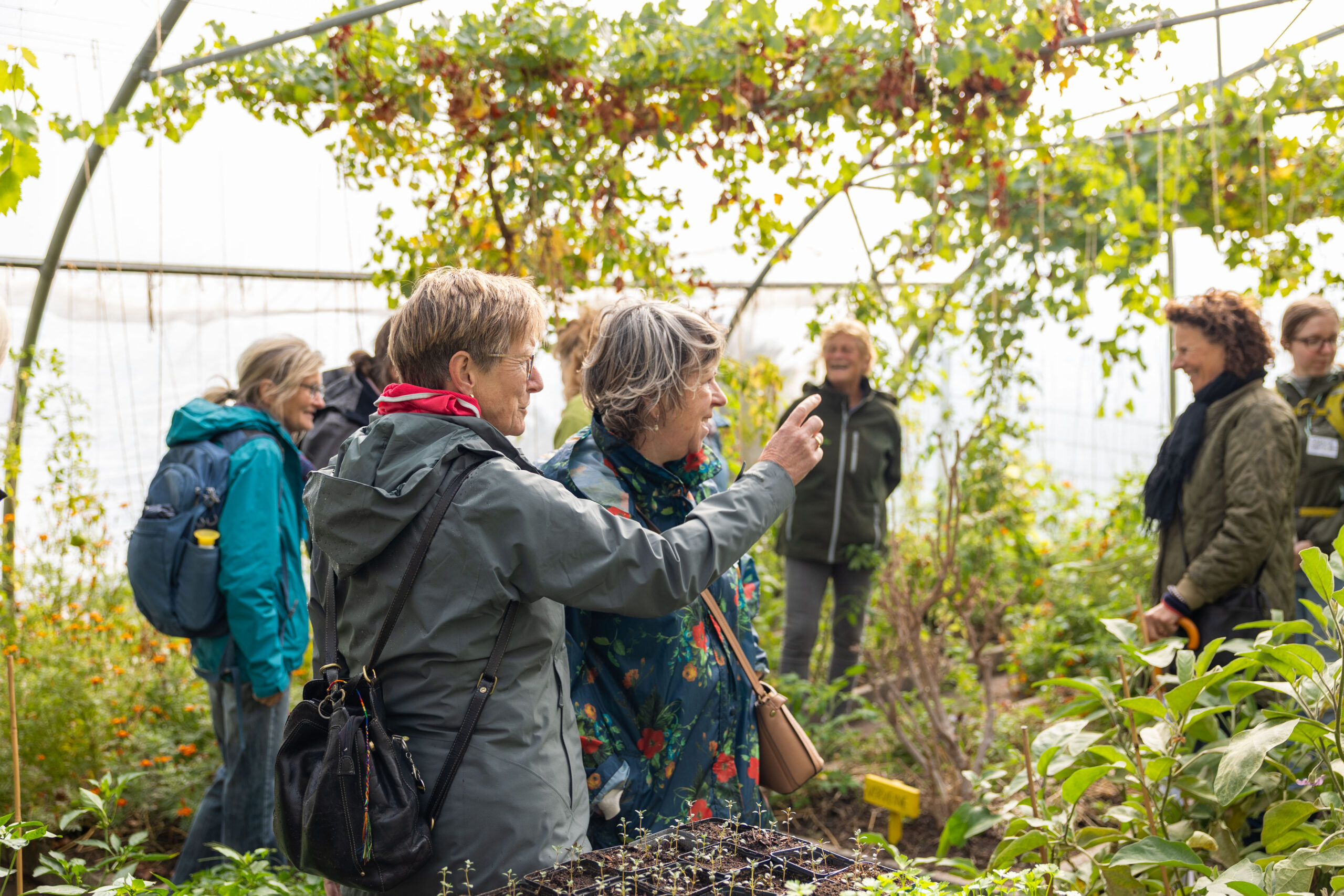 Groep mensen in een kas, omringd door planten, pratend en wijzend naar een tuinbed.