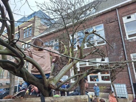 Kind klimt in boom voor schoolgebouw, terwijl mensen eromheen staan.