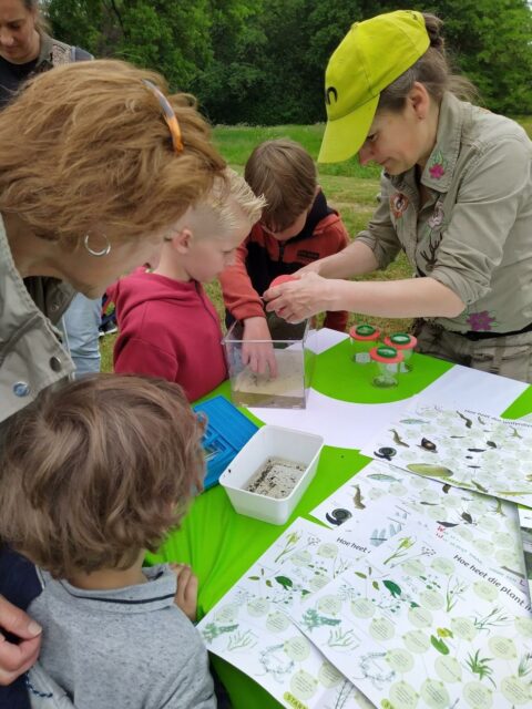 Kinderen leren over waterdieren bij een natuuractiviteitstafel buiten.