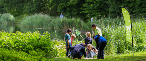 Kinderen onderzoeken de natuur bij een vijver, begeleid door een volwassene, omgeven door groen.
