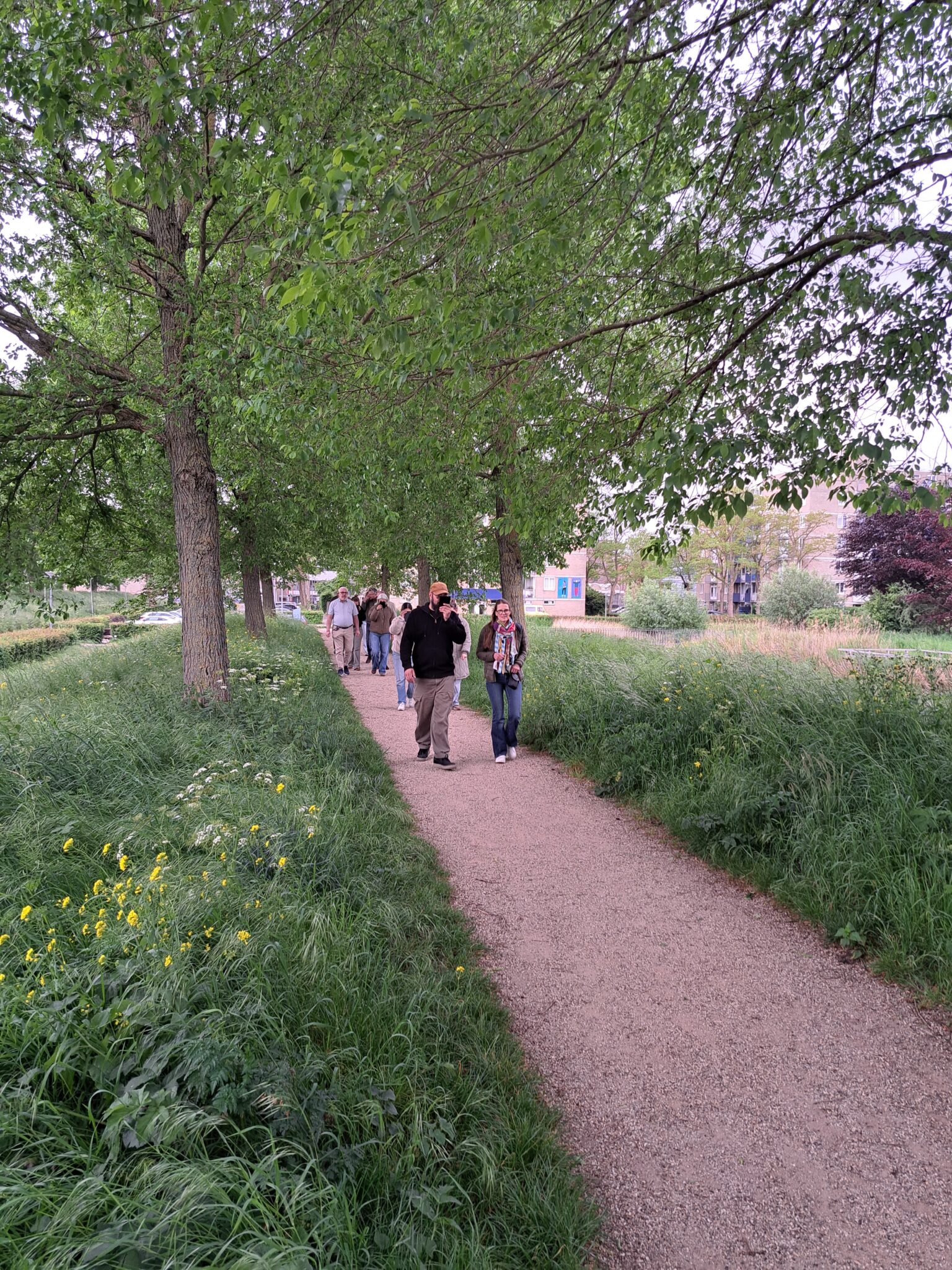 Wandelpad onder bomen met mensen die wandelen in een groene, parkachtige omgeving.