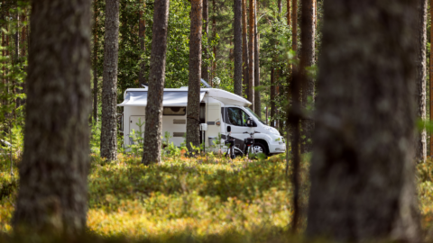Camper geparkeerd in een bosrijke omgeving, omringd door hoge bomen.