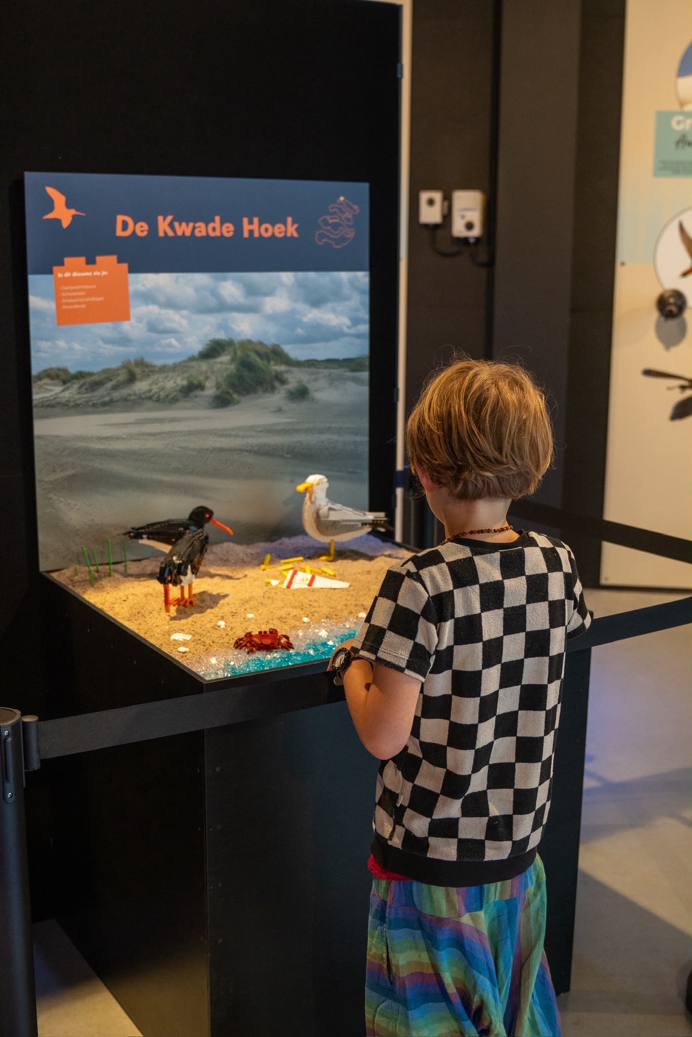 Kind kijkt naar een diorama van De Kwade Hoek met vogels en zand in een museum.