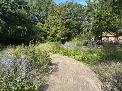 Bochtig pad door een groene tuin met bloeiende planten en bomen onder een heldere blauwe hemel.
