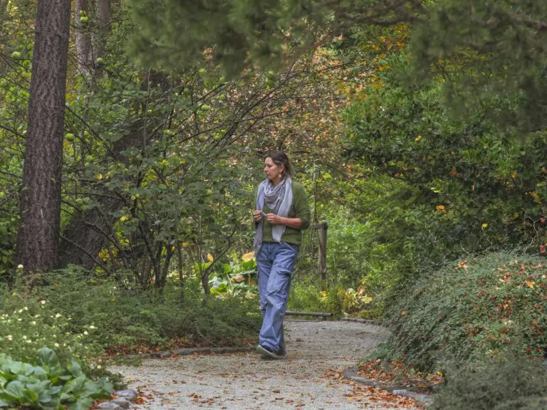 Vrouw wandelt ontspannen op een pad in een groen, bosrijk park.