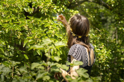 Vrouw met bloemenkrans plukt bladeren in een weelderige, groene tuin.