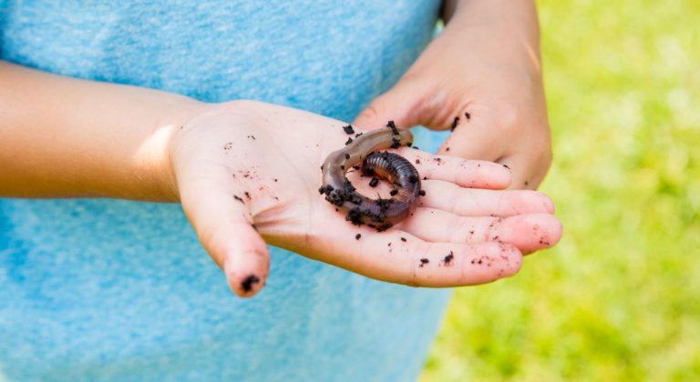 Ga mee op bodemdierensafari!