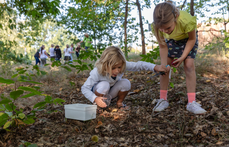 Twee kinderen zoeken insecten in het bos met potjes en vergrootglas. Groep mensen op de achtergrond.