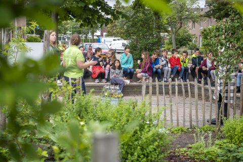 Gezocht: basisscholen die hun schoolplein gaan vergroenen