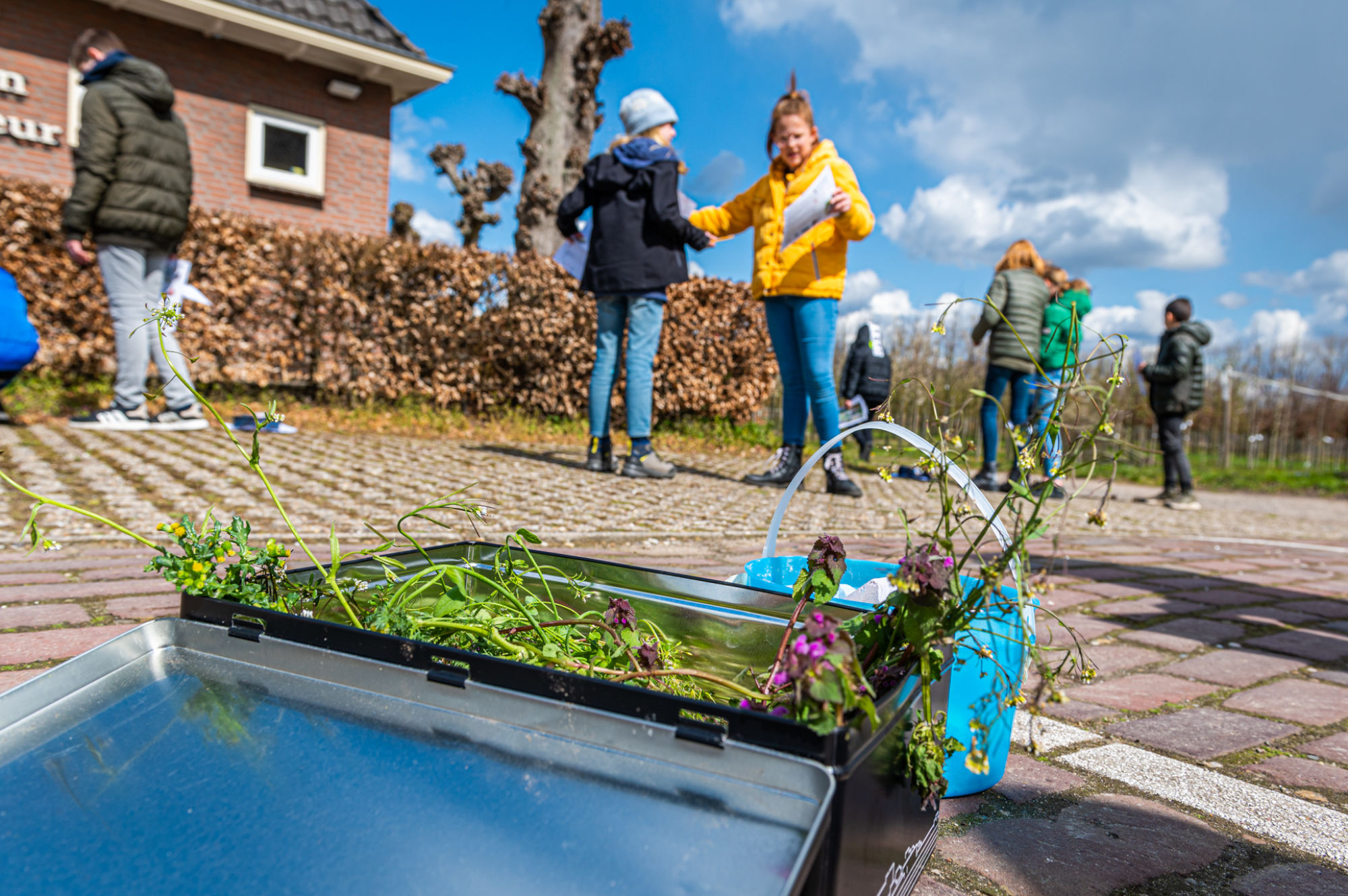 Juf Josien eerste ‘Buitenlesleerkracht van het jaar’ van provincie Groningen