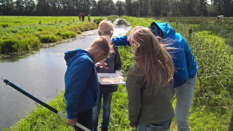 Kinderen onderzoeken watermonsters langs een sloot in een groene weide.
