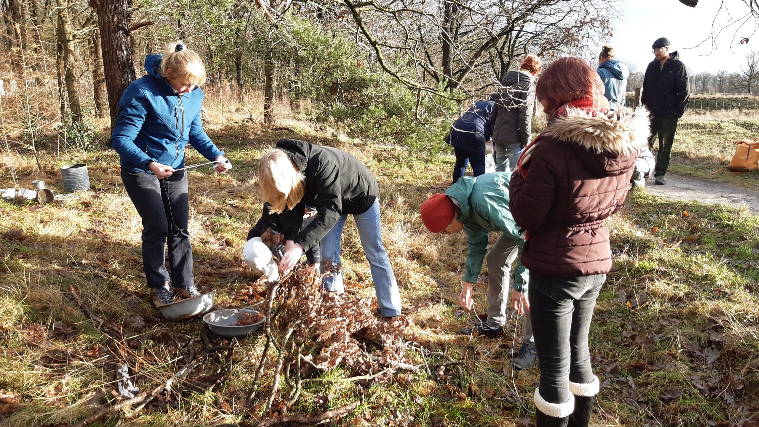 Mensen verzamelen takken en bladeren in een bos tijdens een buitenactiviteit.