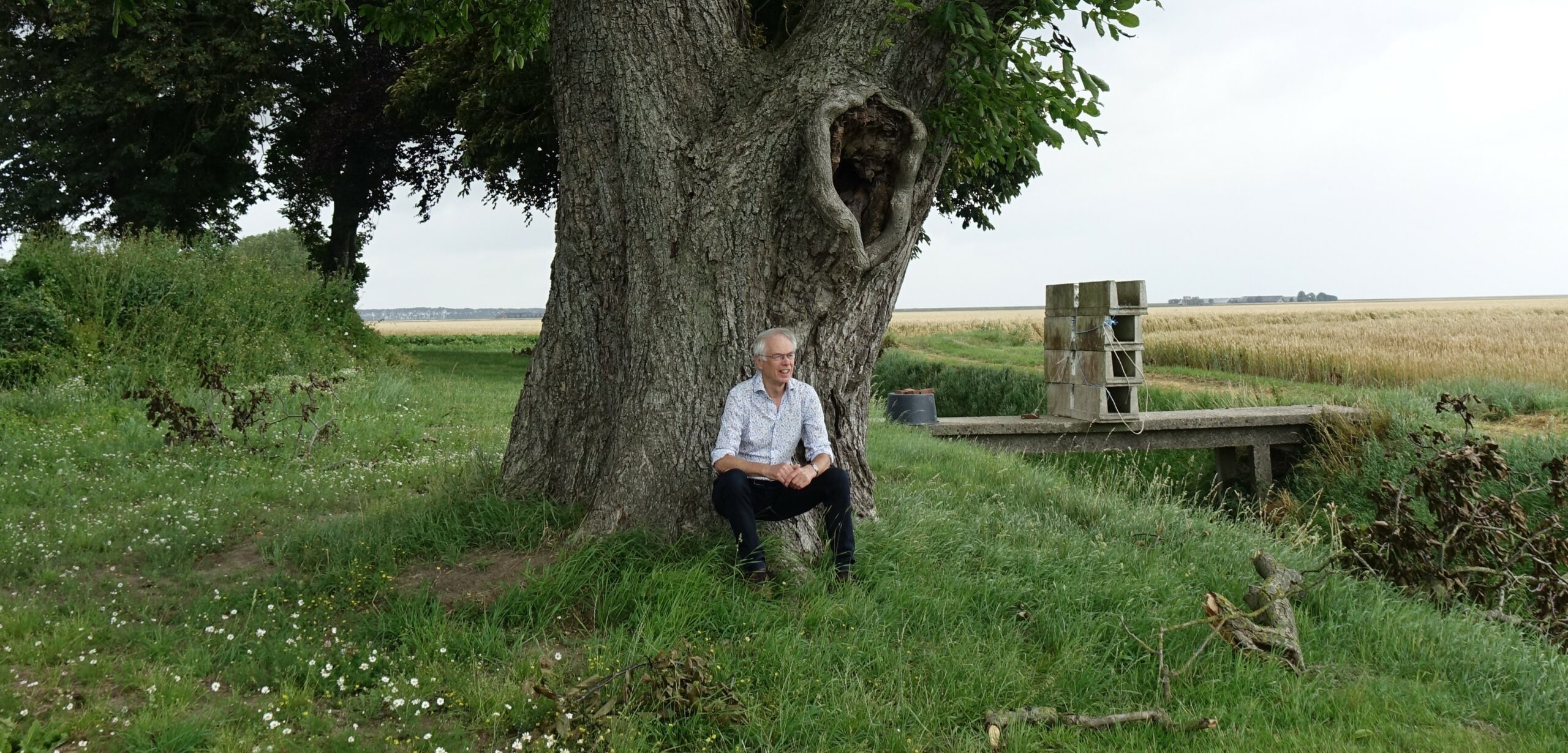 Man zit onder grote boom in groen grasveld met wildbloemen, naast houten bruggetje in landelijk gebied.