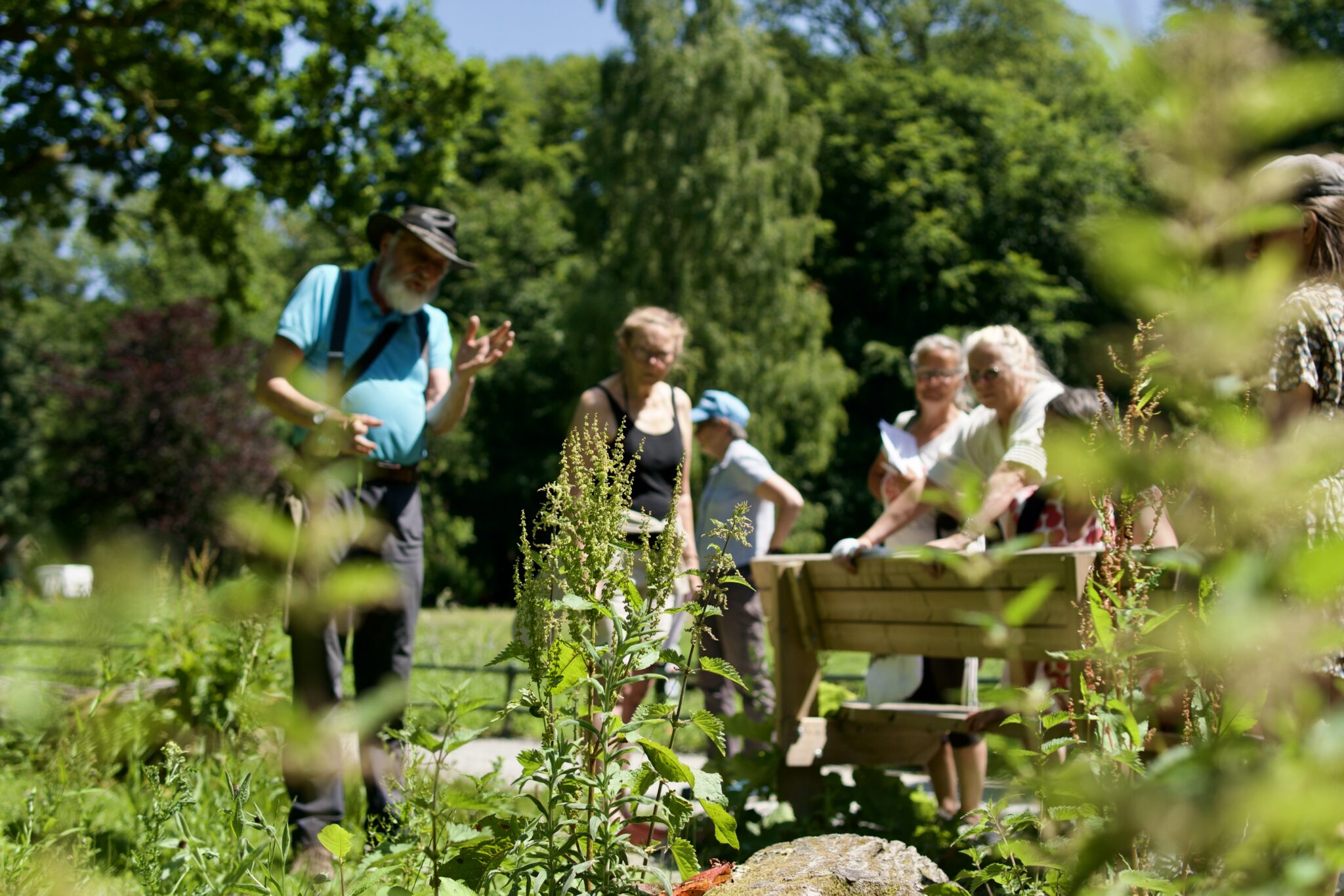 Groep mensen verkent een groene, bosrijke omgeving op een zonnige dag.