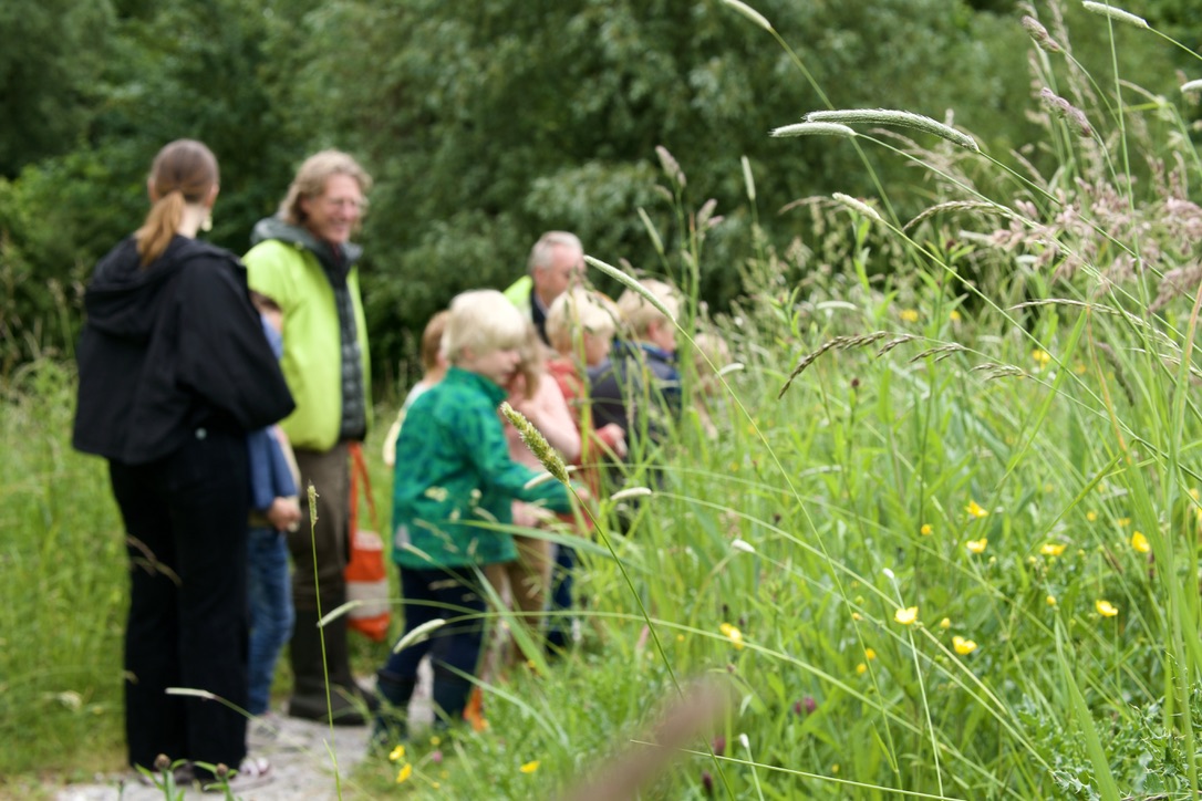 Groep mensen loopt door een groene, grasrijke omgeving met bloemen.