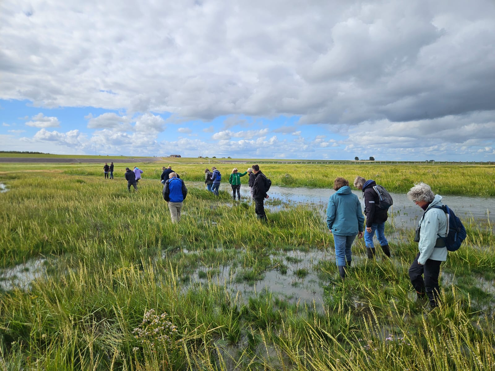 Groep wandelt door nat grasland onder bewolkte lucht met enkele blauwe plekken.