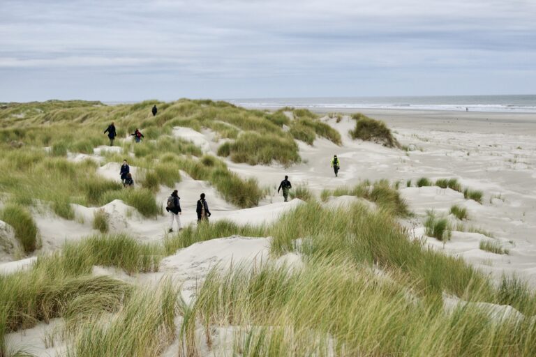 Mensen wandelen door grasrijke duinen naar een uitgestrekt strand onder een bewolkte hemel.