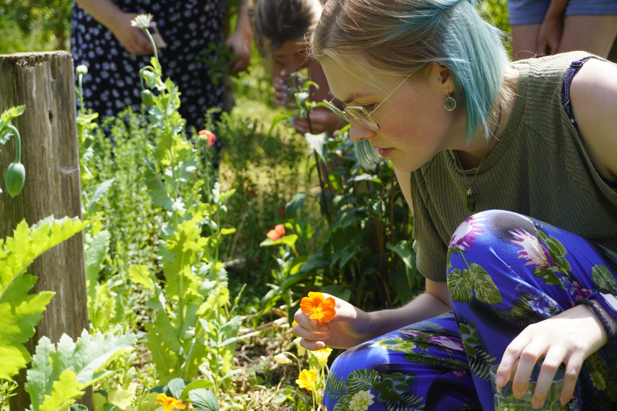 Persoon met blauw haar plukt een oranje bloem in een tuin, omringd door groene planten.