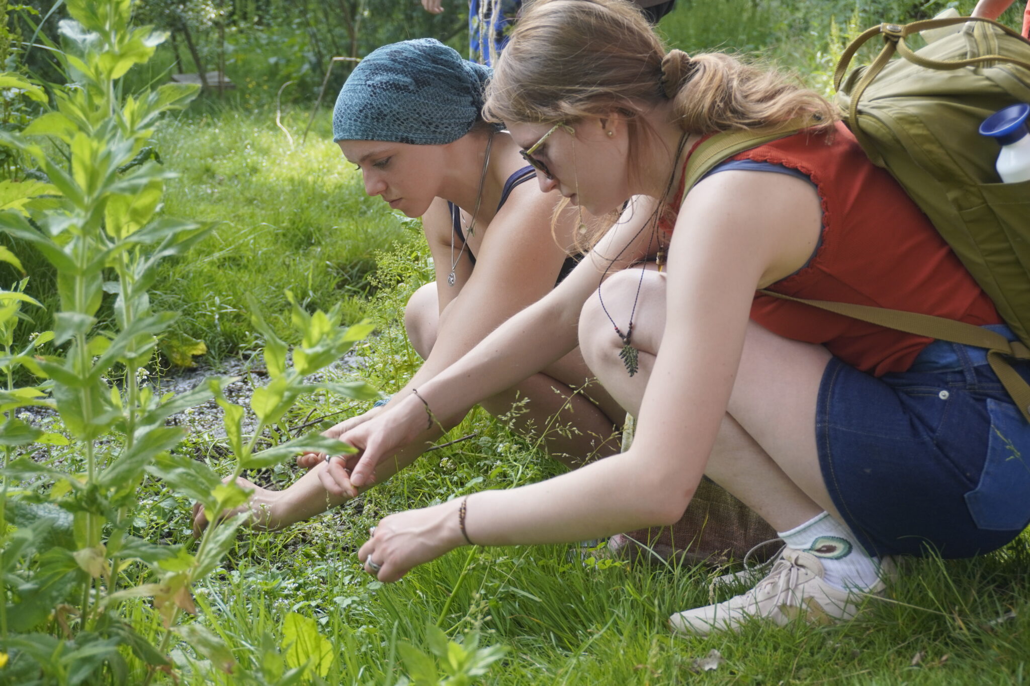 Twee vrouwen plukken kruiden in een groene tuin, aandachtig kijkend naar de planten.