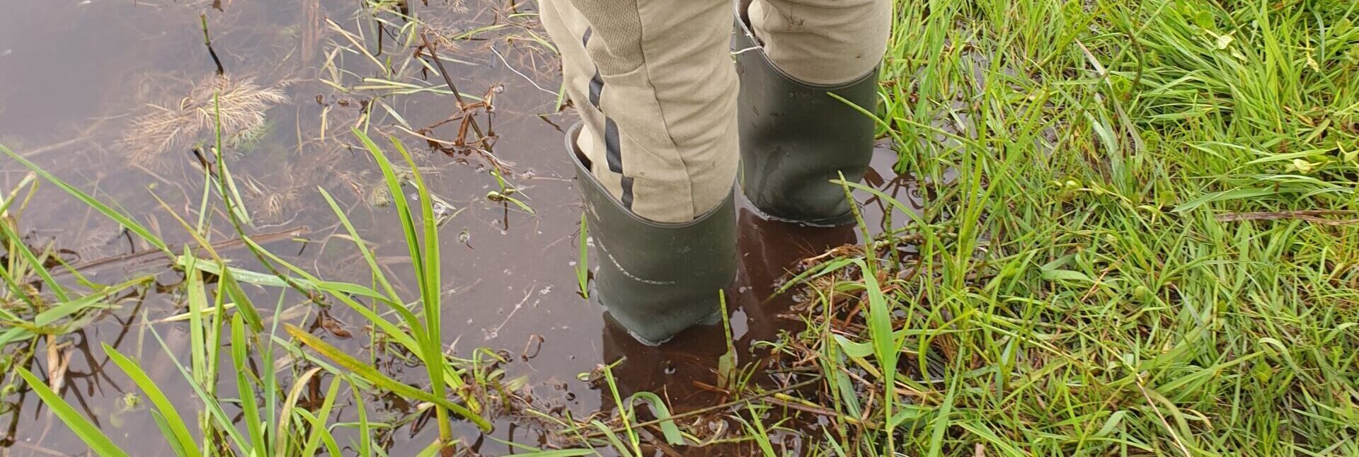 Groene laarzen in een modderige plas omringd door gras.