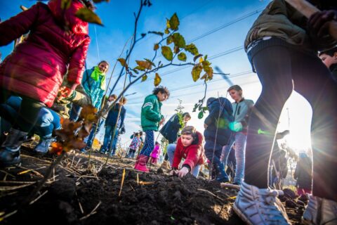 Groep kinderen plant bomen in een tuin onder een heldere blauwe hemel.
