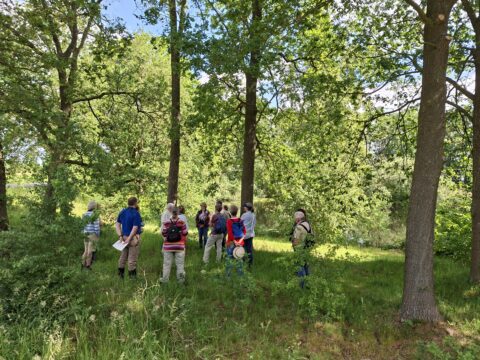 Groep mensen in een bos op een zonnige dag, omgeven door groene bomen en gras.