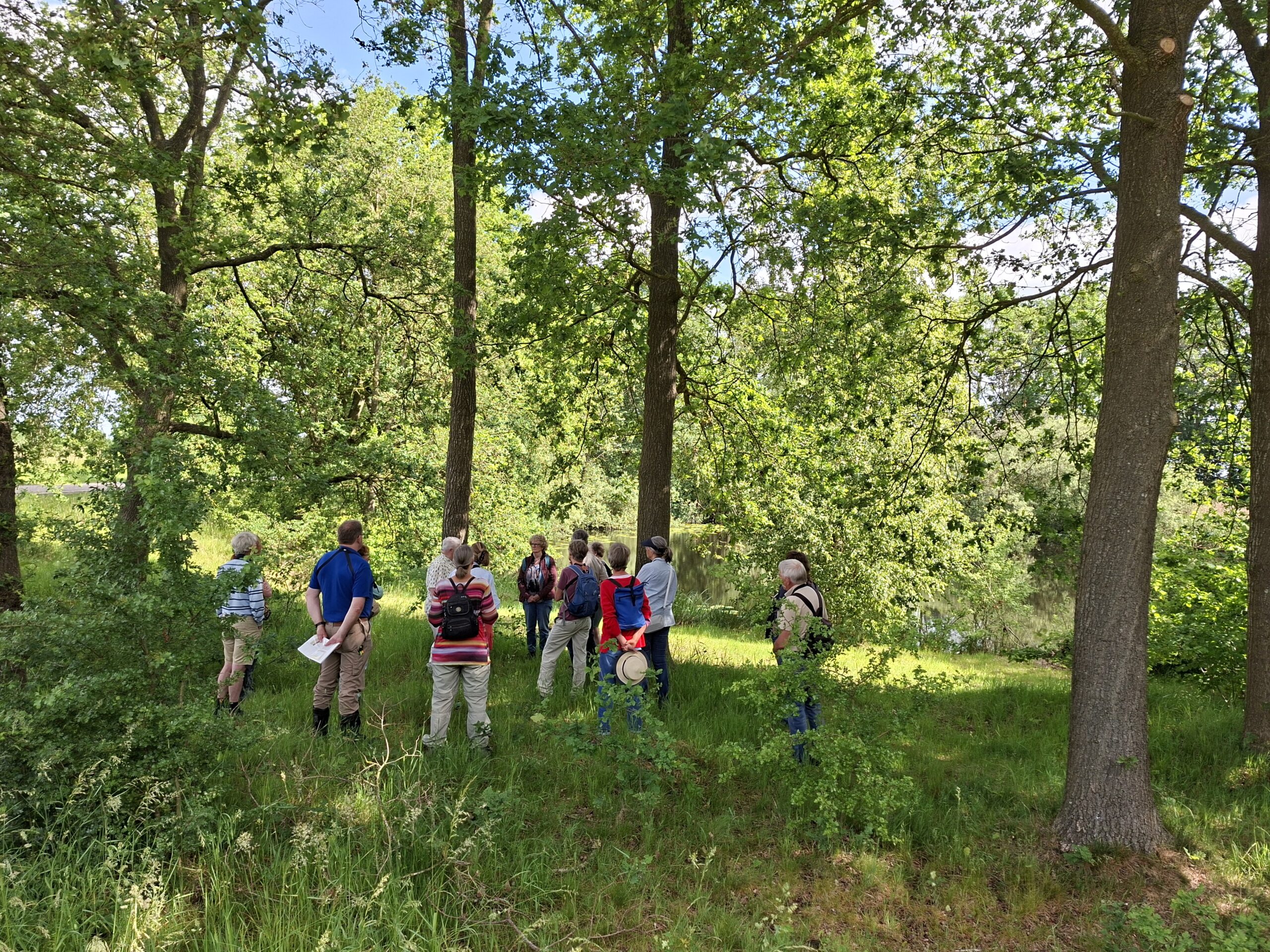 Groep mensen in een bos op een zonnige dag, omgeven door groene bomen en gras.