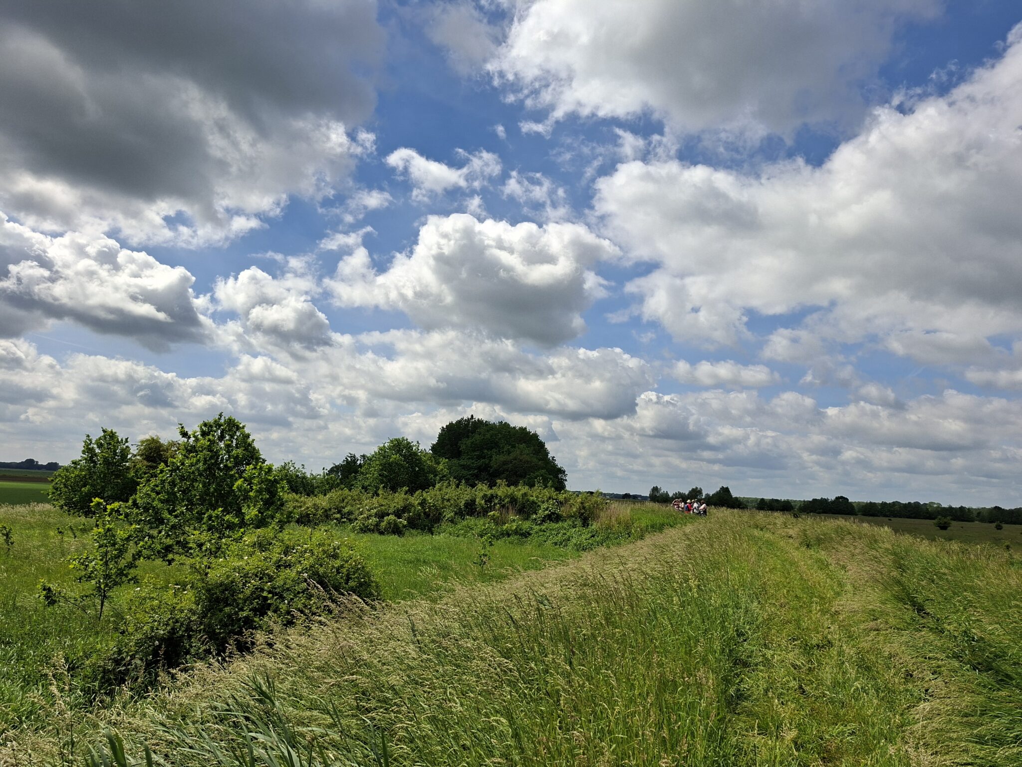 Een groen wandelpad onder een bewolkte maar zonnige hemel. Groepen mensen in de verte.
