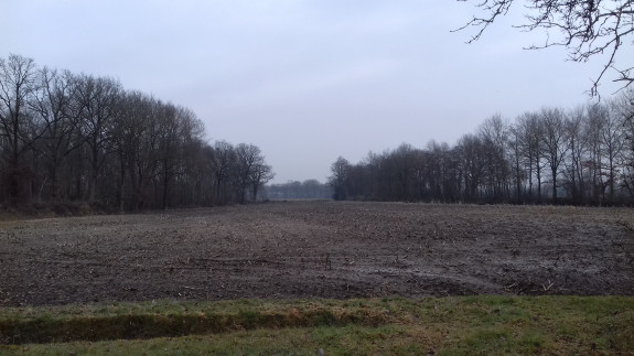 Akker met houtwallen