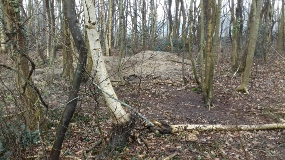 Dassenburcht