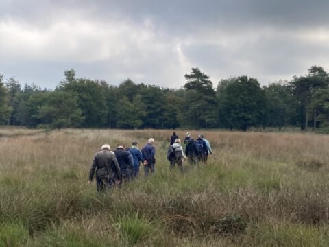 Groep mensen wandelt door een grasveld, omgeven door bossen onder een bewolkte lucht.