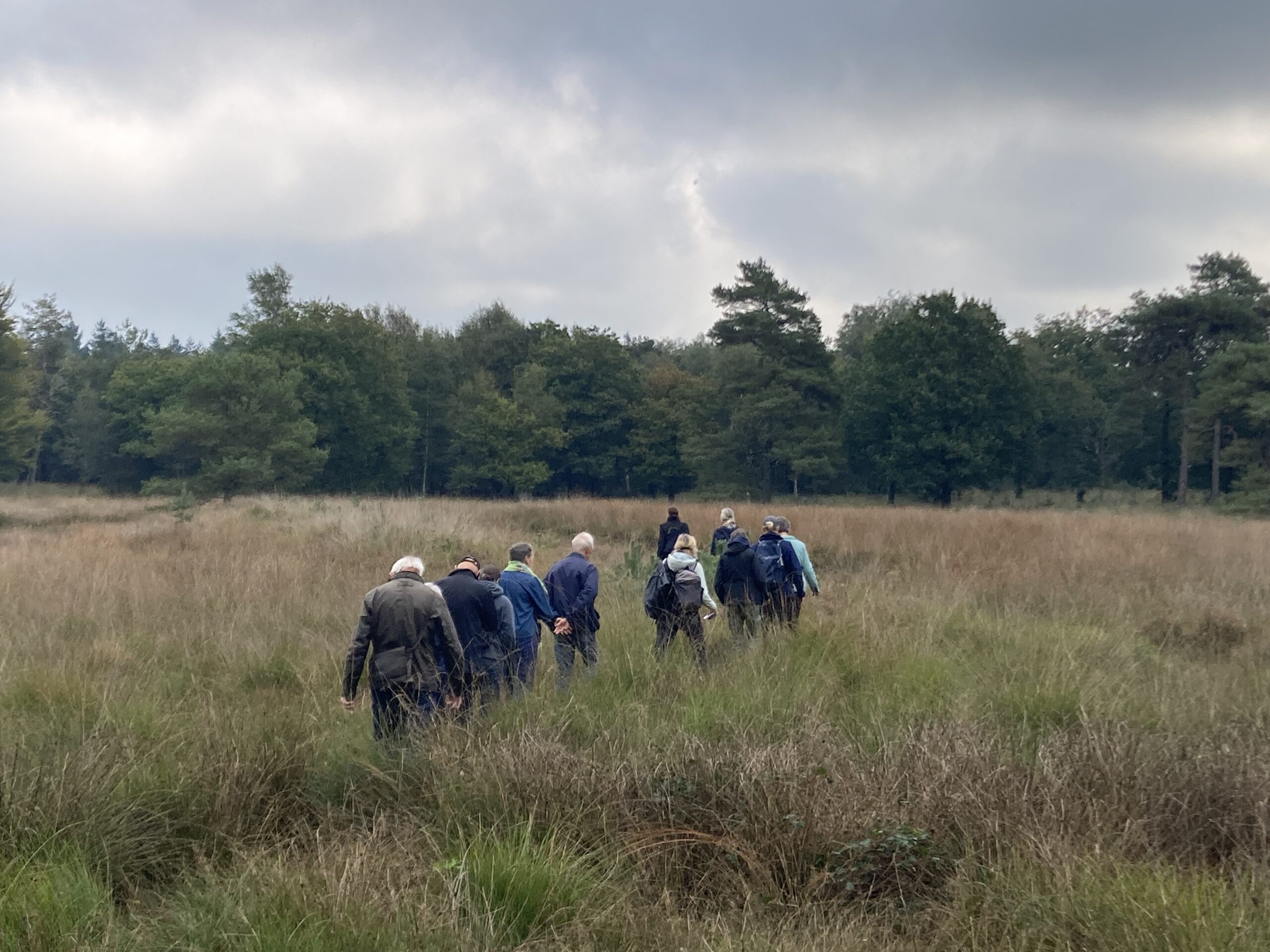Groep mensen wandelt door een grasveld, omgeven door bossen onder een bewolkte lucht.