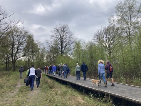 Een groep mensen wandelt over een houten pad door een bosgebied onder een bewolkte hemel.