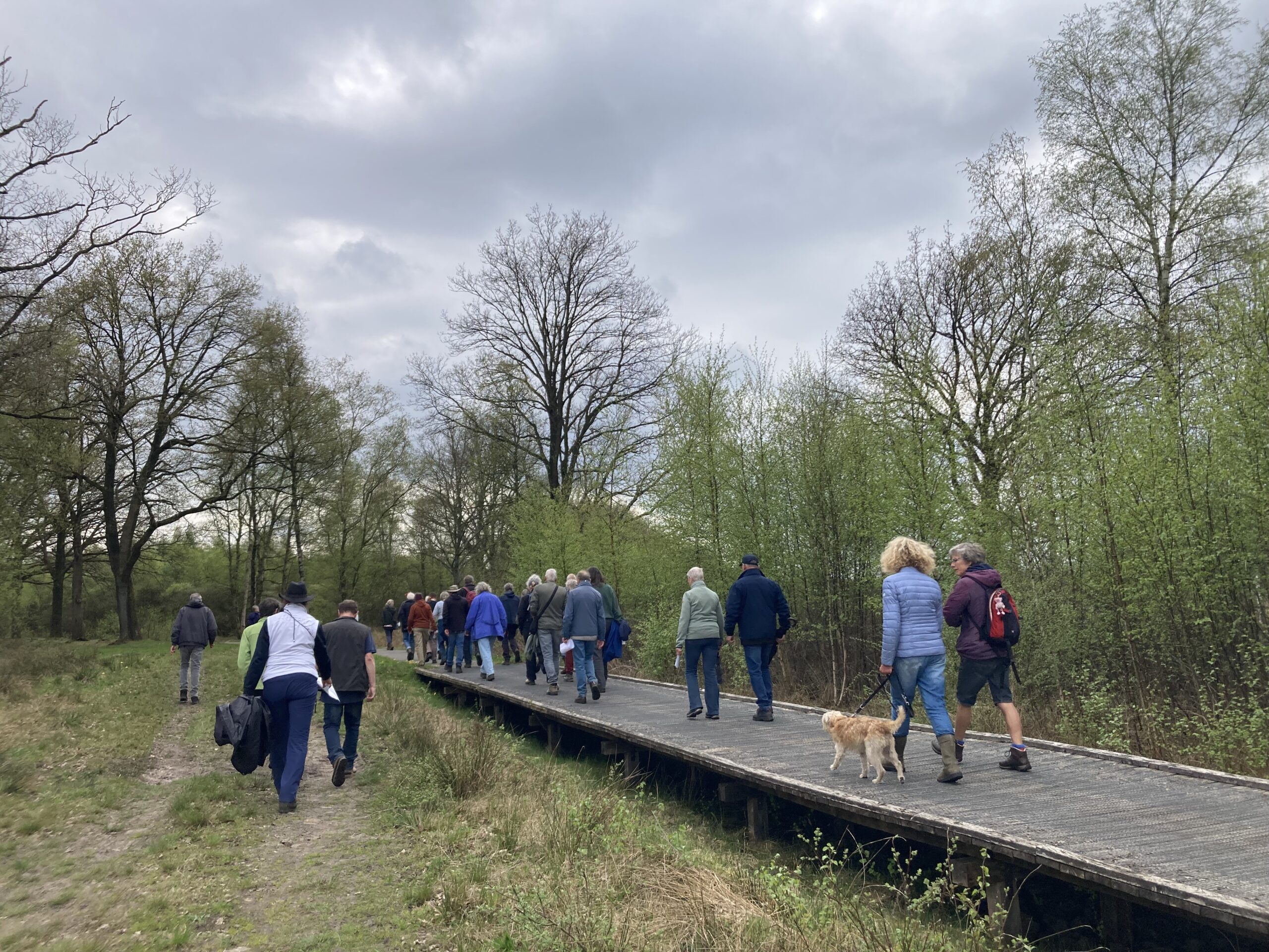 Een groep mensen wandelt over een houten pad door een bosgebied onder een bewolkte hemel.