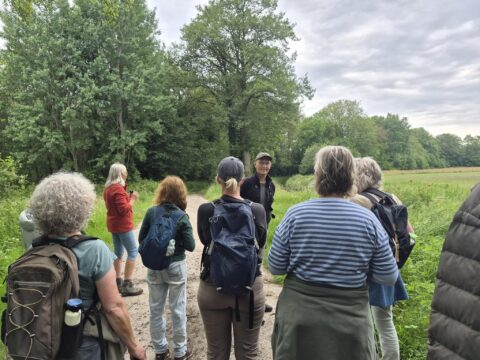 Groep mensen met rugzakken loopt op bosweg, omringd door bomen en groen.