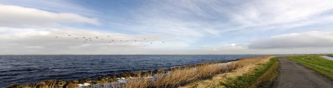 Fietstocht Krommenieër Woudpolder